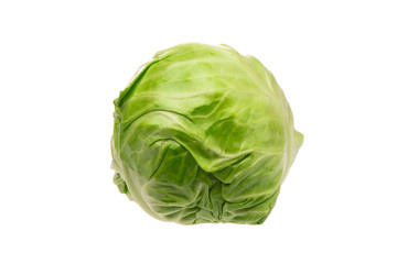 Fototapeta premium Green cabbage