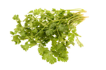 Branches of parsley