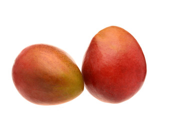Brazillian mangos