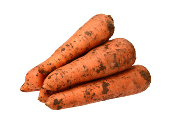 A pile of carrots