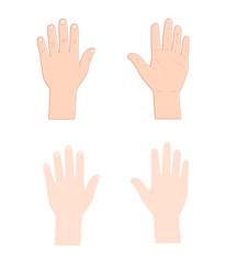 Kid hands realistic