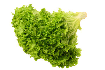 A pile of lettuce