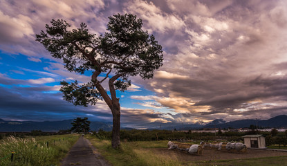 C&eacute;u azul com nuvens vermelha.