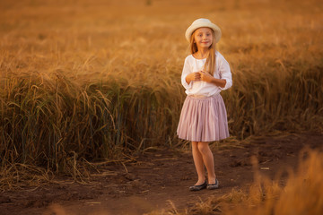 Portrait of a cute beautiful girl with long hair on the background of a wheat field on a summer evening