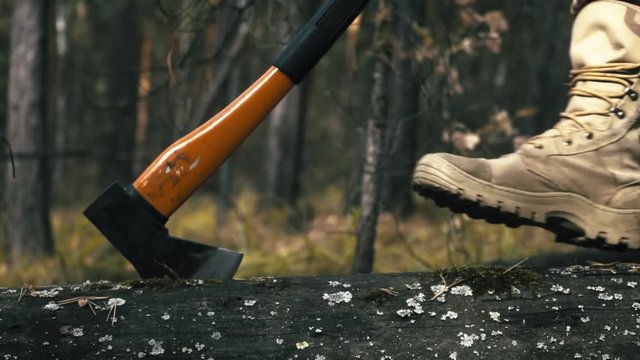 The ax suddenly hits the tree trunk, cutting out many chips. The woodcutter removes the ax from the tree trunk.