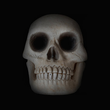 human skull on black background