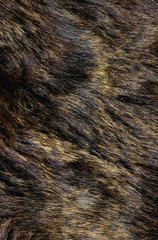 dog fur texture