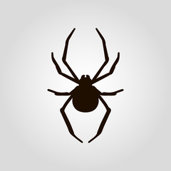 Spider isolated flat vector icon
