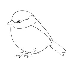  bird tit vector illustration line drawing  coloring book