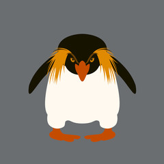 penguin angry vector illustration style flat front side