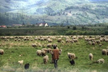 Obraz premium Romania