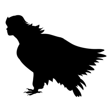 Sirena bird silhouette ancient mythology fantasy