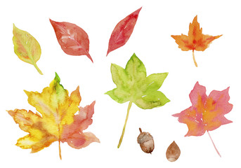 13 148 Fall Handwriting Illustration Wall Murals Canvas Prints Stickers Wallsheaven