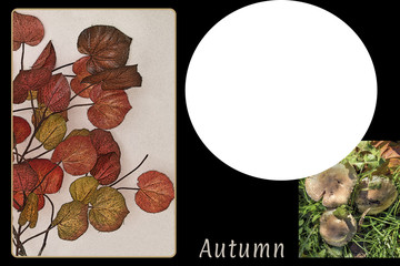 Tarjeta de otoño.
Comunicación de menús o eventos en temporada de otoño.
