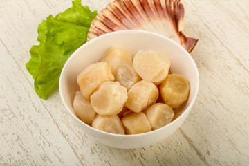 Raw scallops heap