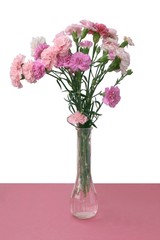 posy of carnations