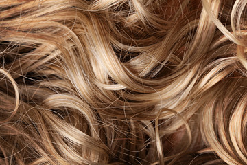blond curls, human hair texture