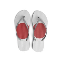 Japan flag flip flop sandals on a white background. 3D Rendering