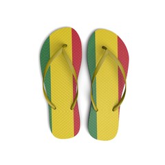 Bolivia flag flip flop sandals on a white background. 3D Rendering