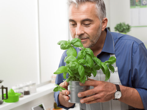 Man holding a basil plant