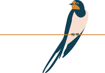 swallow vector illustration style flat side front