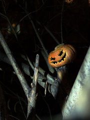A scary smiling pumpkin among the branches of a tree at night. Holiday Halloween.