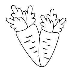 carrots fresh vegetables icon