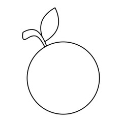 orange fresh fruit icon