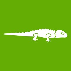 Iguana icon green