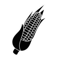 corn fresh vegetable icon