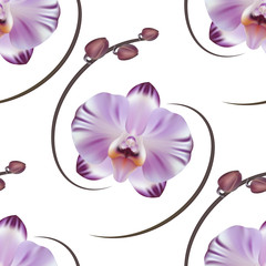 Realistic lilac orchid background, pattern.