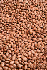 Pinto bean for background 