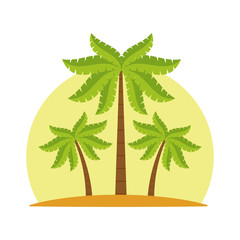 Summer and beach symbol icon vector illustratino graphic design