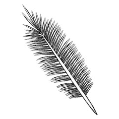 Leaf eco symbol icon vector illustratino graphic design