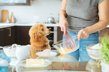 Young woman with her dog is making breakfast . Cooking pancakes.