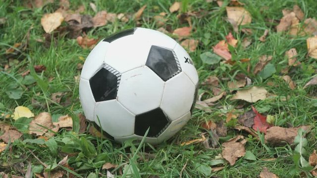 Close-up of white with black rhombuses soccer ball on the grass outdoors. Nobody