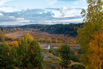 Naklejka premium Autumn forest