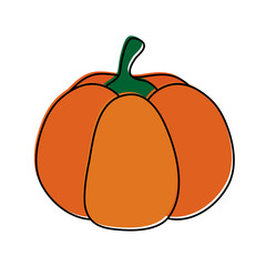 pumpkin fruit icon image vector illustration design 