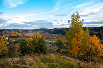 Autumn forest