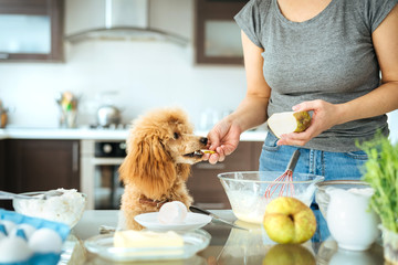 Jonge vrouw met haar hond kookt in de keuken. Concept van koken.