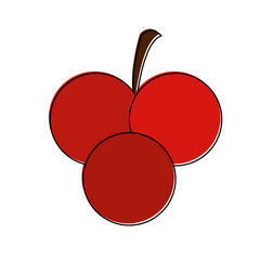 cherries cherry fruit icon image vector illustration design 