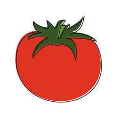 tomato fruit icon image vector illustration design 