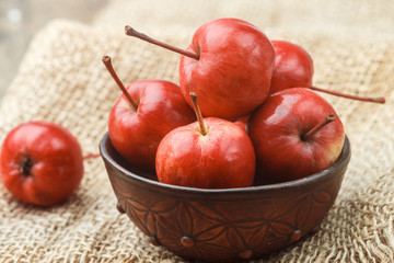 Small red apples. Ranetki. Rustic style. Selective focus