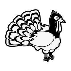 turkey animal icon image vector illustration design  black and white