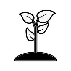 plant and grass icon image vector illustration design  black and white