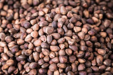 Siberian Cedar pine nuts background