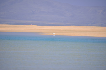 beach and blue lagoon