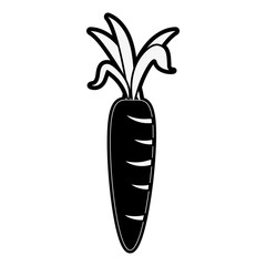 carrot vegetable icon image vector illustration design  black and white
