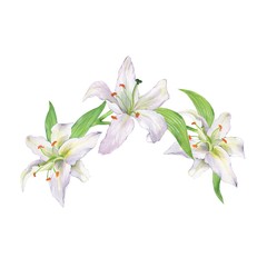 Fototapeta na wymiar Watercolor floral branch with lilies. Wreath. Element for design. Frame 1