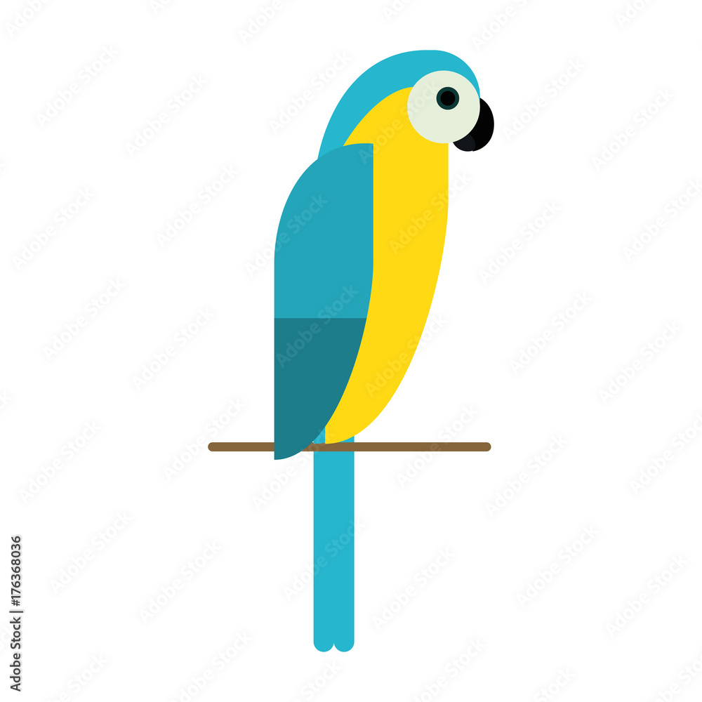 Wall mural parrot tropical bird icon image vector illustration design 